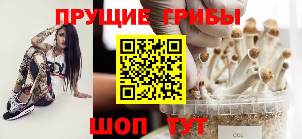 Галлюциногенные грибы GOLDEN TEACHER Феодосия